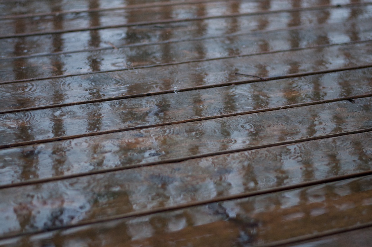 wood, rain, nature-4399972.jpg